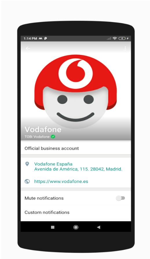 Vodafone TOBi
