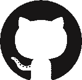 WHY SHOULD YOUR ORGANIZATION CHOOSE GITHUB?